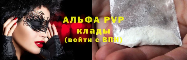 прущие грибы Белоозёрский