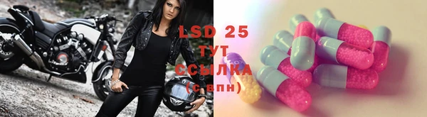 spice Белокуриха