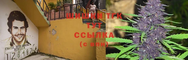 spice Белокуриха